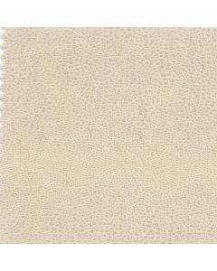 Alili